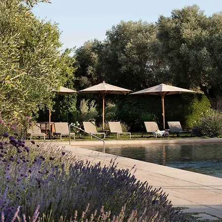 Wine Spa&golf 5*